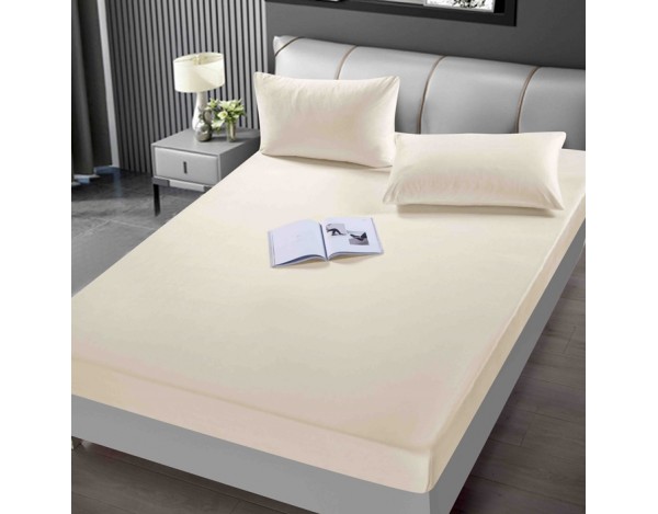 HUSA CATIFEA JOJO HCT 15